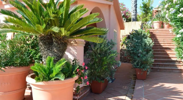 2 makuuhuonetta Huoneisto Residence Fenicia