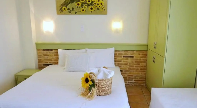 Двухместный номер Standard с видом на сад Saronis Hotel Agistri