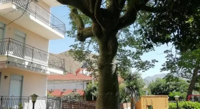 Etna Sea Apartment, Book Lejlighed Hoteller i Calatabiano med pool, Swimmingpool