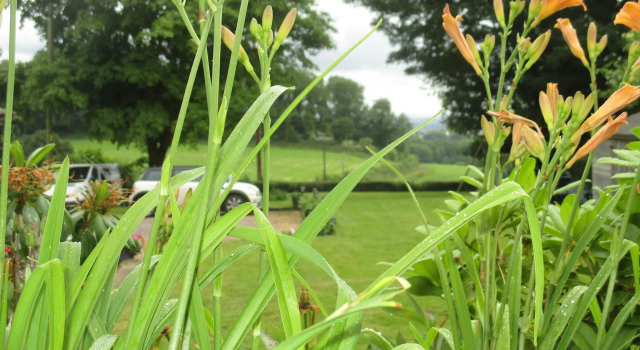 Brambles Bed and Breakfast