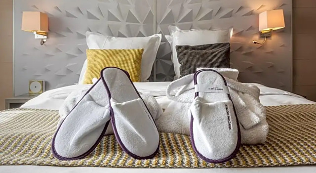 Номер Executive Mercure Annecy Sud