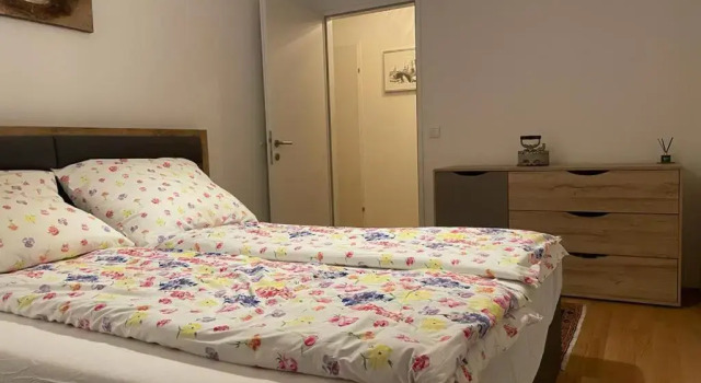 Lovely 3 rooms apartment viena