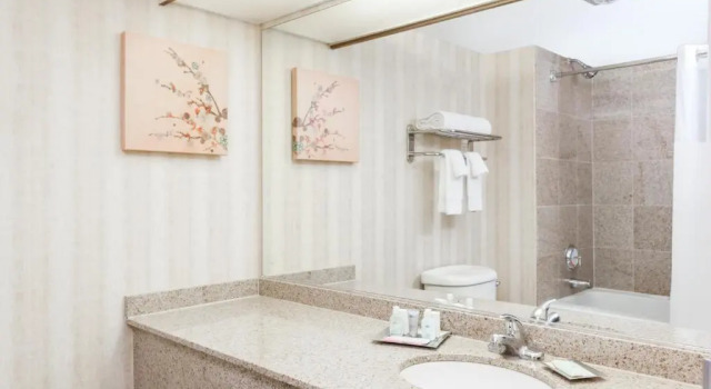 Номер Standard Wyndham Indianapolis Airport