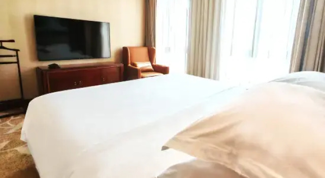 Люкс Deluxe Golden Rich Hotel