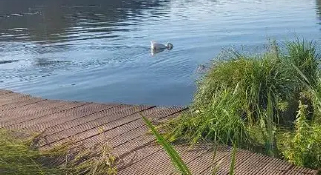 Helle Ferienwohnung in Nettetal bei Venlo