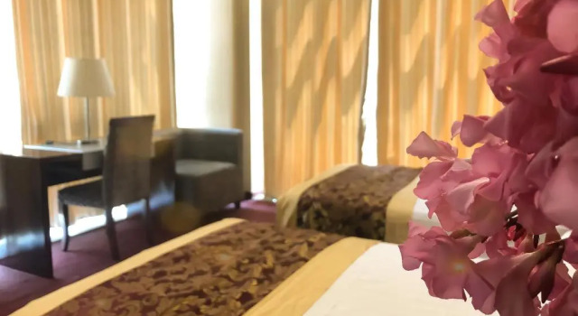 Номер Business Hotel Arifi