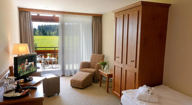 Одноместный номер Standard Hotel Grüner Wald