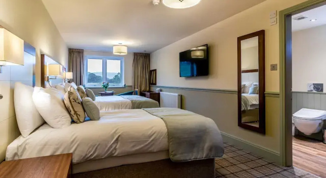 Номер Superior Damson Dene Hotel