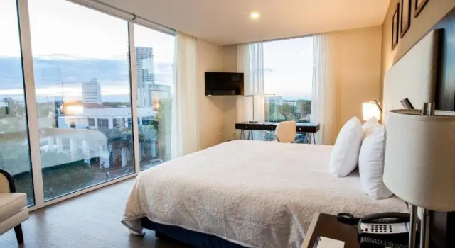 Одноместный номер Standard Hampton by Hilton Santa Cruz