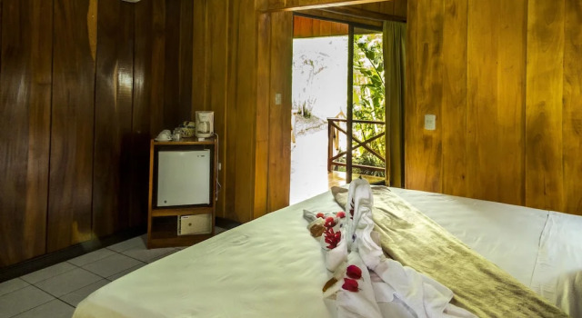 Номер Superior Arenal Waterfall Lodge
