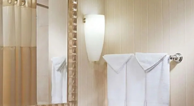 Номер Allergen friendly DoubleTree by Hilton Austin