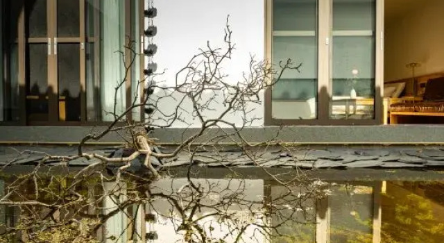 Quanli Homestay (Weishan Ancient City), Rezerwuj Hotel Nanzhao Yunnan