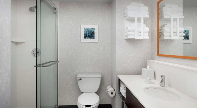 Двухместный номер Standard Hampton Inn & Suites Rapid City Rushmore, SD