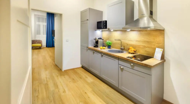 Люкс c 1 комнатой Jimmys Apartments Dandelion