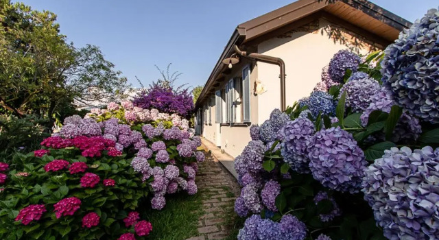 Villa Hermes