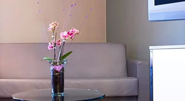 Номер Deluxe с видом на горы Clarion Hotel Bergen Airport Terminal