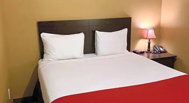 Двухместный номер Standard Altona Hotel