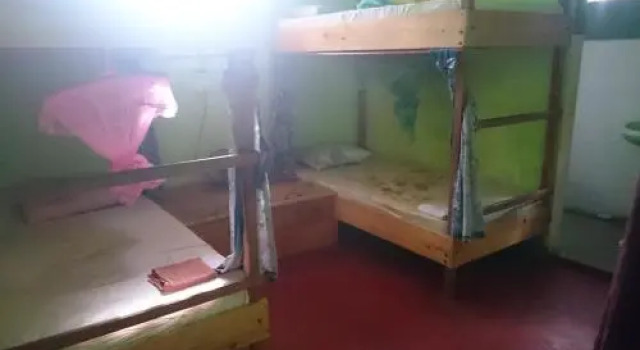 Tropi Turtle Guesthouse