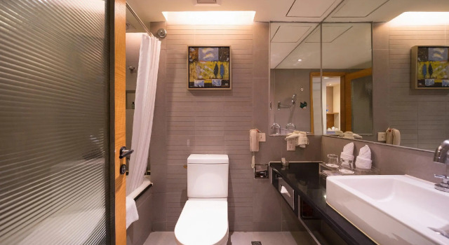 Двухместный номер Deluxe Shenzhen Longgang Rivan Hotel