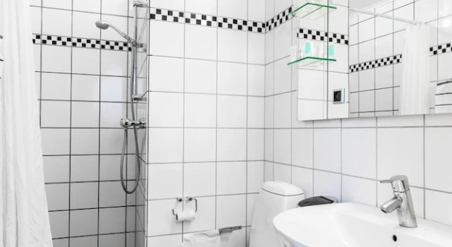 Deluxe dublă cameră Hindsgavl Slot