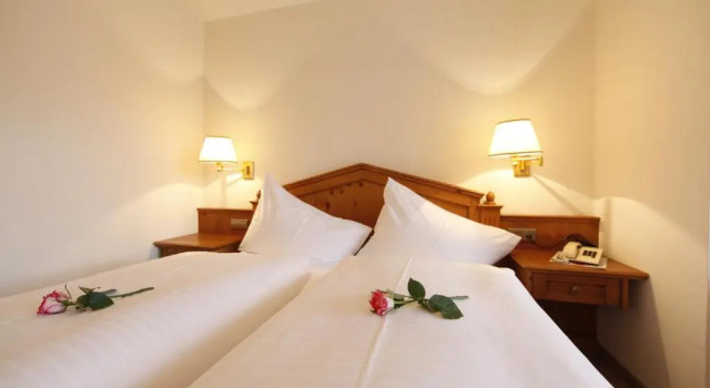 Двухместный номер Standard Hotel Dachstein