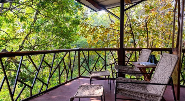 Kanha Jungle Camp, Book Hotel Kanha 