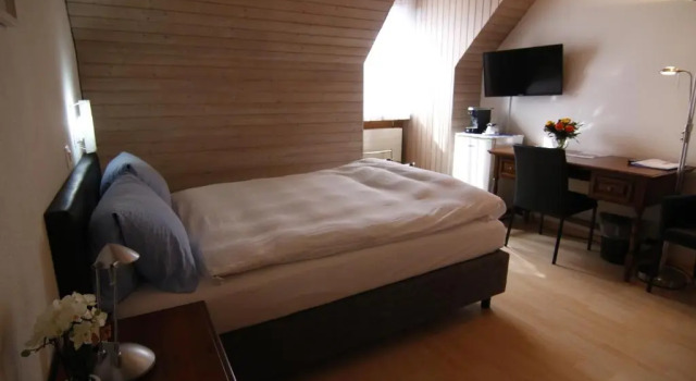 Одноместный номер Economy Hotel Eremitage