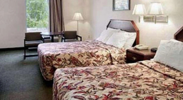 Standard Vierer Zimmer Gray Inn & Suites