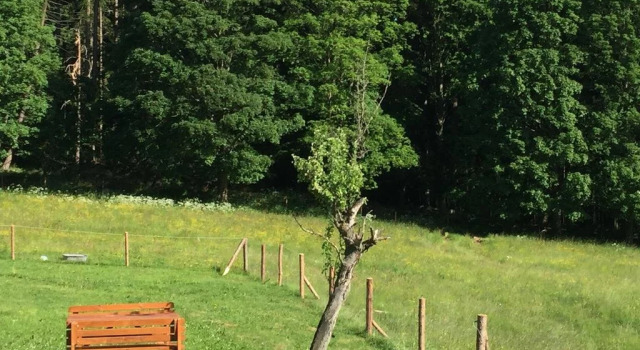 Selská Chalupa, Boek Hotel Stachy 