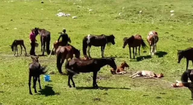 Nalati Wangjingyuan Inn, Prenota Hotel Hotel a Xinjiang con parcheggio, Parcheggio