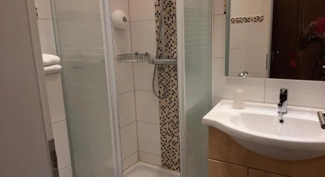 Двухместный номер Standard Hotel Irene