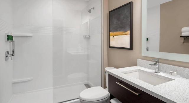 Двухместный люкс c 1 комнатой с видом на город TownePlace Suites by Marriott Twin Falls