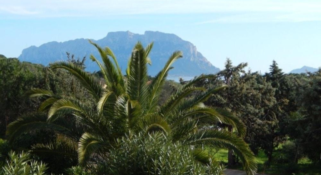 Abitasardegna - Gli Oleandri