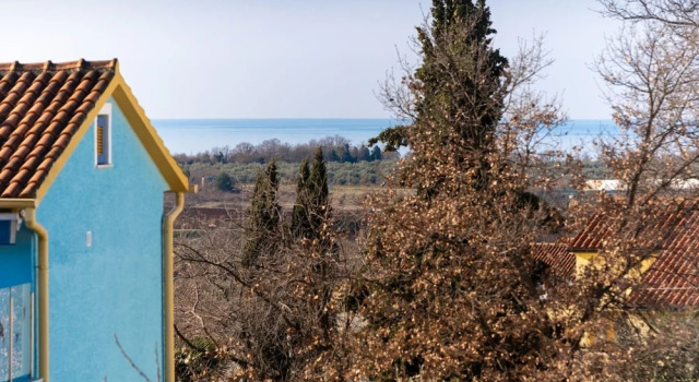 AA