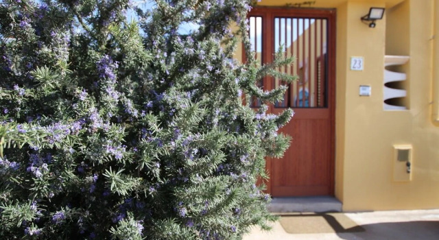 Serena Guest House