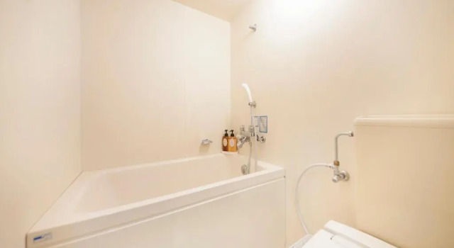 Двухместный номер Deluxe KAMENOI HOTEL Fuji