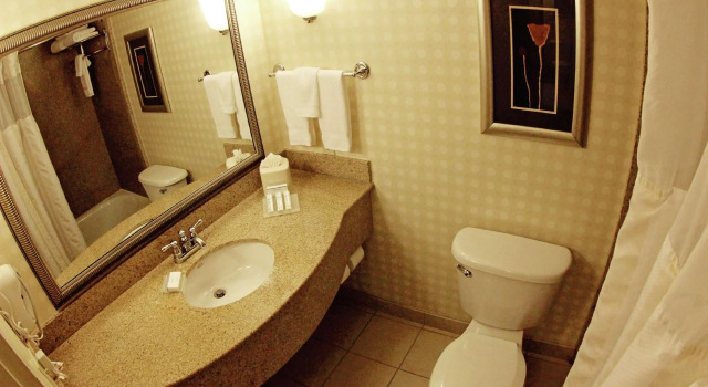 Четырёхместный номер Standard Hilton Garden Inn Jacksonville Orange Park