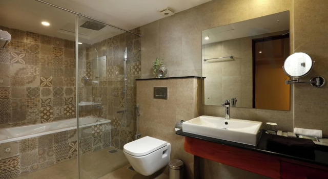 Одноместный номер Premium с видом на озеро JVK Park Hotel
