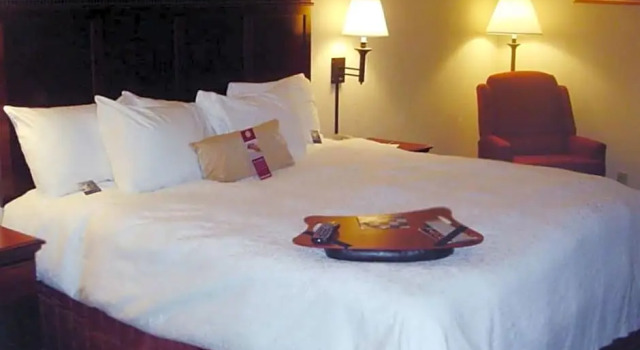 Номер Standard Hampton Inn Manheim