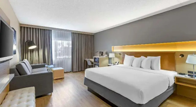 Студия Radisson Hotel Casa Grande