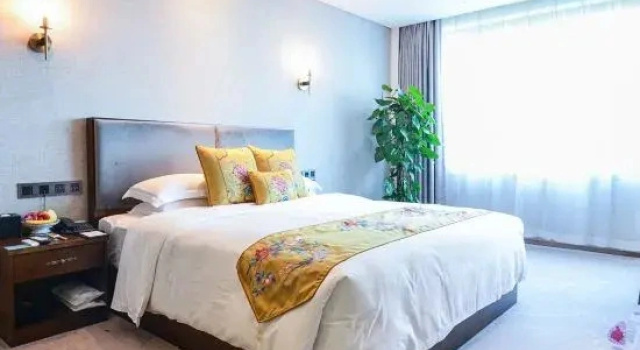 Двухместный номер Executive Wanyou Conifer Hotel