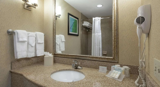 Четырёхместный номер Standard Hilton Garden Inn Meridian