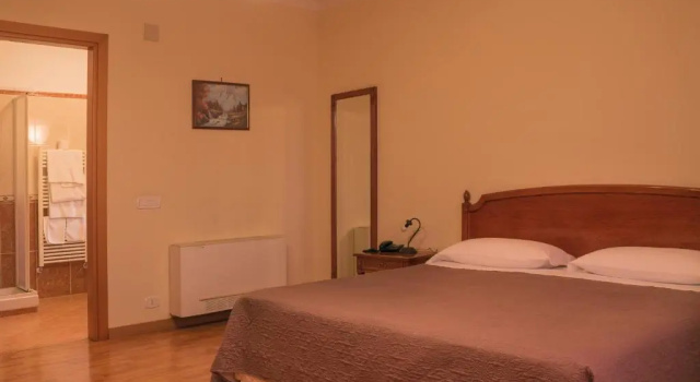 Двухместный номер Standard Ruggiero Park Hotel