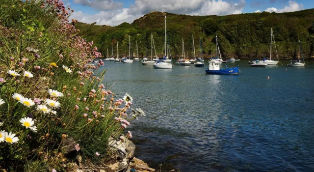 Коттедж Calebs Cottage - 4 Bedroom Cottage - Solva