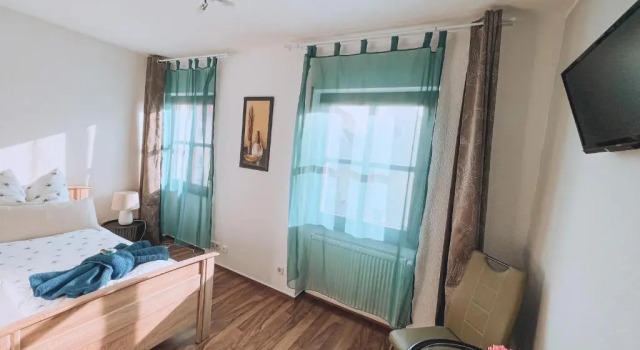 Одноместный номер Standard Landhotel "Schwarzach am Main"