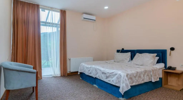 Двухместный номер Standard Terrace Borjomi Hotel