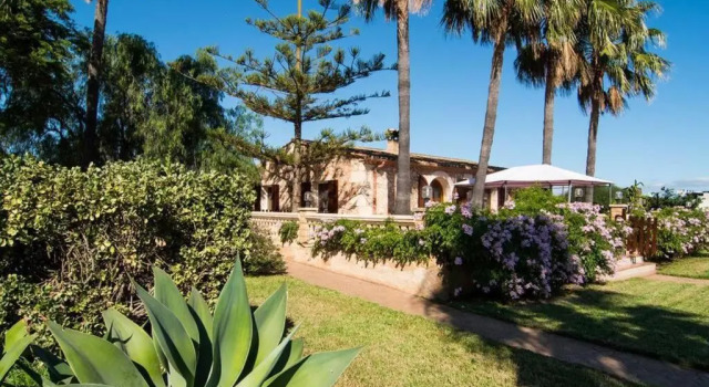 Finca Las Palmeras 16