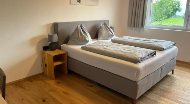 Двухместный номер Standard Panoramahotel Sonnhalde