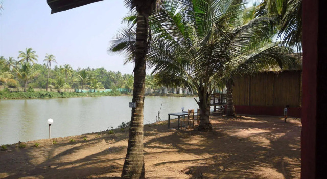 Om Lake Resort, Book Resort Hotels in Goa with a Pool, Swimming Pool