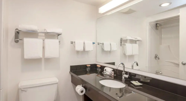 Двухместная студия Sandman Hotel Revelstoke